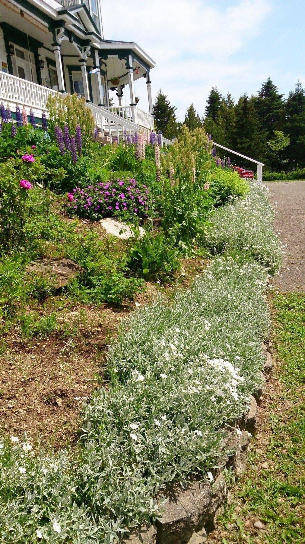 Le Manoir du Vieux Presbytère Port-Daniel Esterno foto